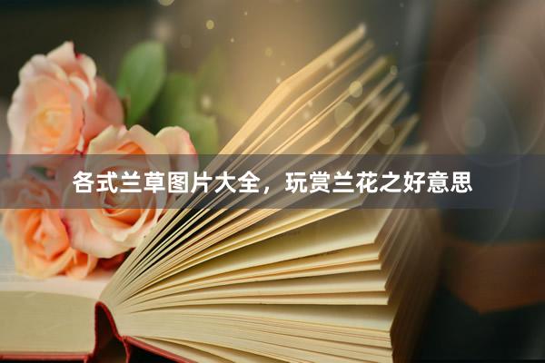 各式兰草图片大全，玩赏兰花之好意思