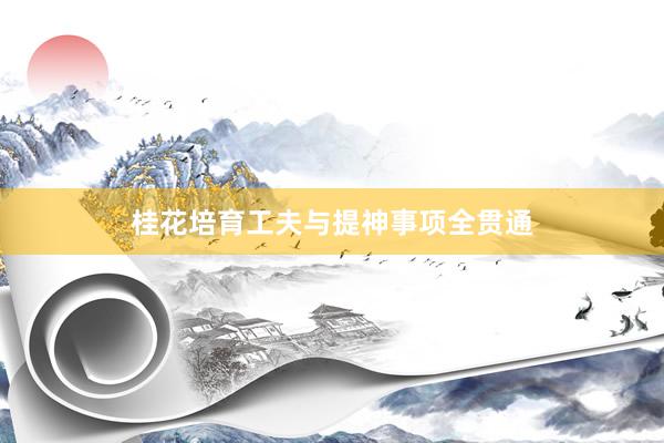 桂花培育工夫与提神事项全贯通