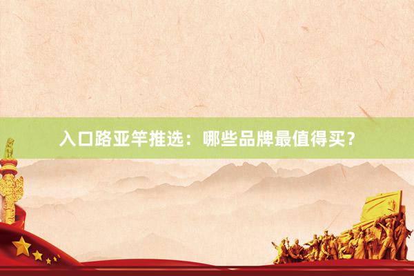 入口路亚竿推选：哪些品牌最值得买？